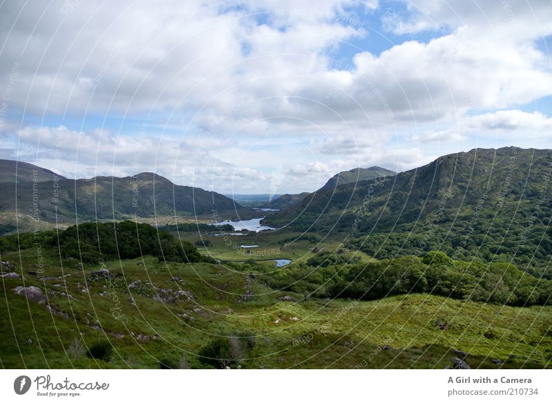 Ladies' View - Ring of Kerry - Irland Umwelt Natur Landschaft Pflanze Wolken Sonne Sommer Schönes Wetter Wald Hügel Berge u. Gebirge See Menschenleer