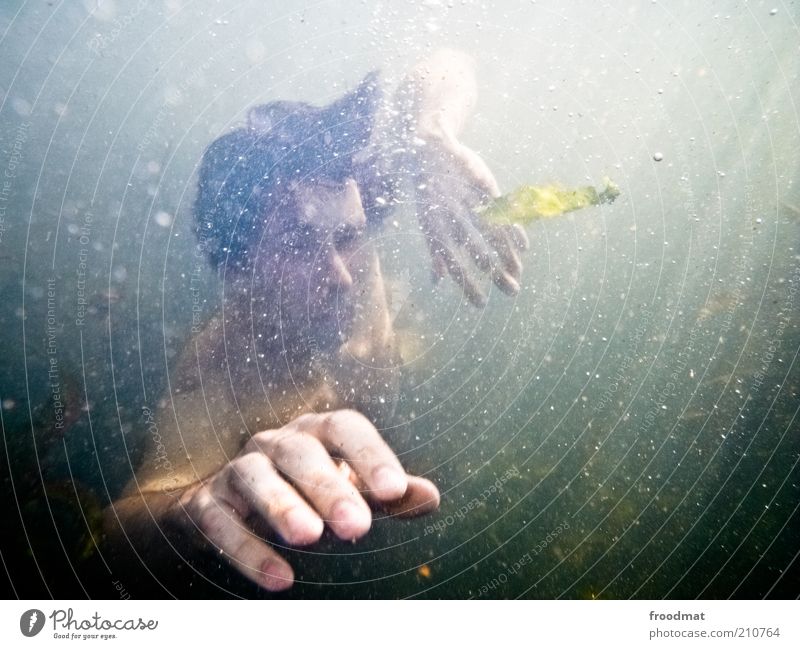 1200 - und weiter auf schatzsuche Wassersport tauchen Mensch maskulin Mann Erwachsene Hand Finger Umwelt Natur Urelemente Sommer Ostsee Meer See Erholung
