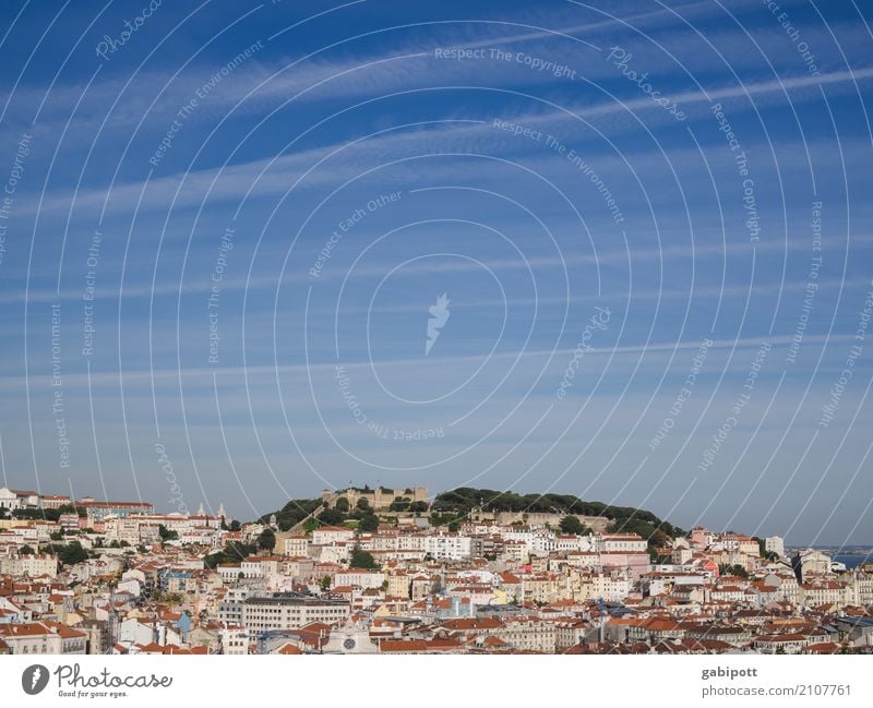 Lissabon Sommer Schönes Wetter Portugal Stadt Hauptstadt Stadtzentrum Haus Ferien & Urlaub & Reisen Horizont Perspektive Wachstum Häusliches Leben Hügel eng