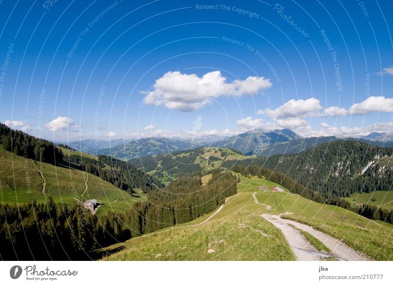 Bergweg Freizeit & Hobby Ferien & Urlaub & Reisen Ausflug Freiheit Sommer Berge u. Gebirge Umwelt Natur Landschaft Himmel Horizont Sonnenlicht Schönes Wetter