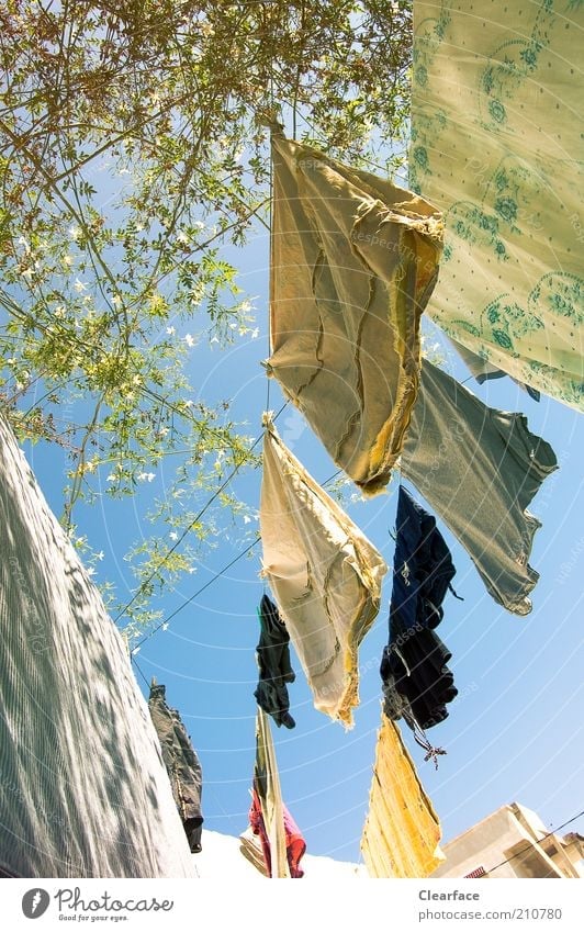 Waschtag Zufriedenheit Zusammenhalt Himmel Energiesparer Farbfoto Außenaufnahme Tag Froschperspektive Wäsche Wäscheleine trocknen aufhängen Wärme Sonnenlicht