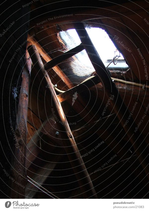 Georg Dach Dachboden Spinnennetz Fenster Holz Leiter alt Balken