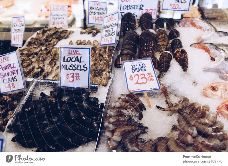 Roadtrip West Coast USA (243) Lebensmittel Fisch Meeresfrüchte Ernährung Tier genießen Garnelen Muschel Hummer Fischmarkt Markttag Markthalle Eis Preisschild