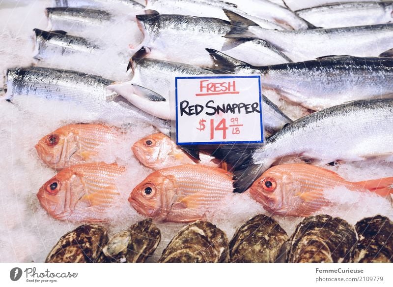 Roadtrip West Coast USA (247) Lebensmittel Fisch Meeresfrüchte Ernährung genießen Schnapper US-Dollar Preisschild Englisch Westküste Fischereiwirtschaft Eis