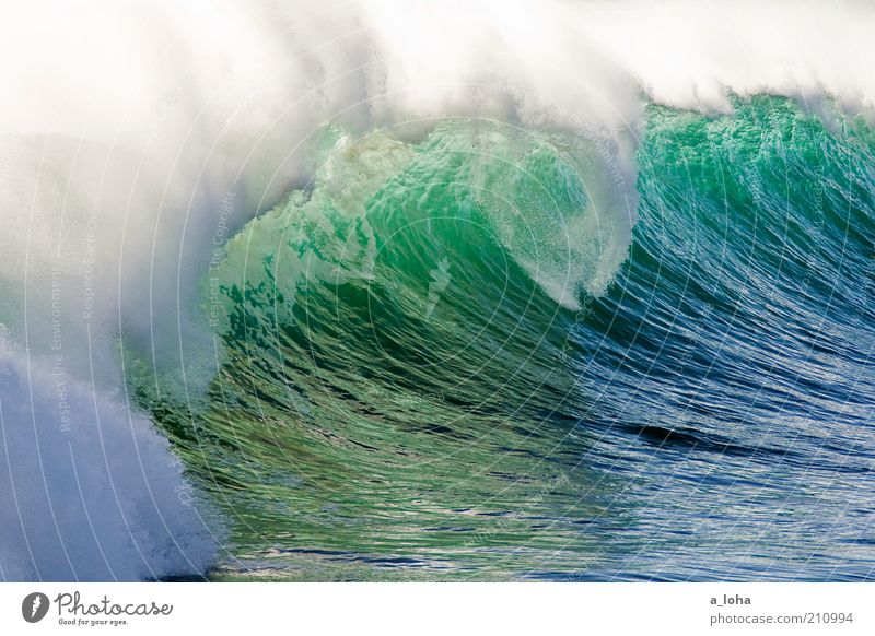 only the ocean Ferne Sommerurlaub Meer Wassersport Surfen Urelemente Wellen Küste Riff Tropfen Bewegung glänzend Flüssigkeit gigantisch groß blau grün Kraft