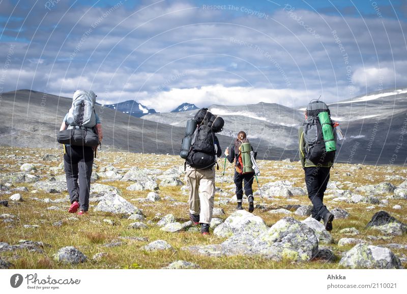 Vier Menschen mit Wanderrucksäcken, Berglandschaft, Skandinavien Ferien & Urlaub & Reisen Abenteuer Ferne Freiheit Berge u. Gebirge wandern Jugendliche 4 Natur