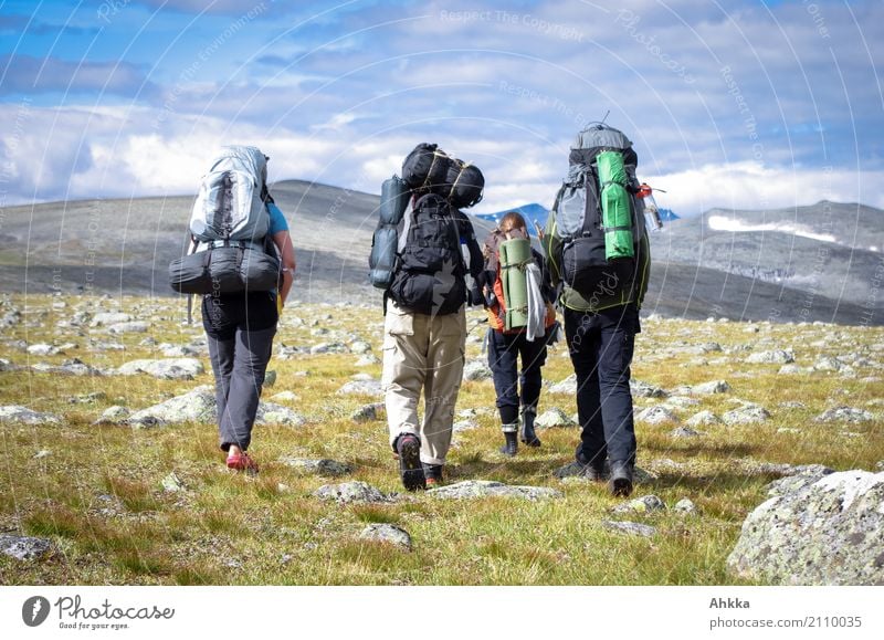 Junge Menschen mit großen Rucksäcken, Berge, Skandinavien Ferien & Urlaub & Reisen Abenteuer Ferne Freiheit Berge u. Gebirge wandern Leben 4 Natur Landschaft