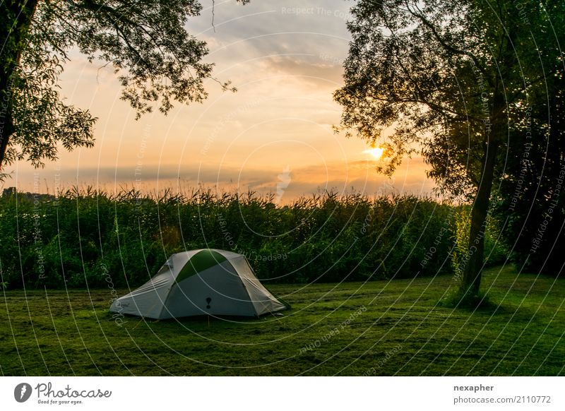 Zelt im Sonnenuntergang Lifestyle Freude Ferien & Urlaub & Reisen Abenteuer Freiheit Camping Sommer Sommerurlaub Umwelt Natur Landschaft Himmel Sonnenaufgang