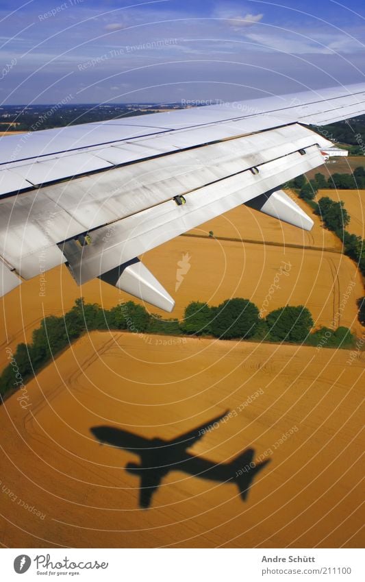 take off Ferien & Urlaub & Reisen Passagierflugzeug Flugzeugausblick fliegen Angst Tragfläche Feld Himmel blau gelb grün Ackerbau Landwirtschaft Schatten hoch