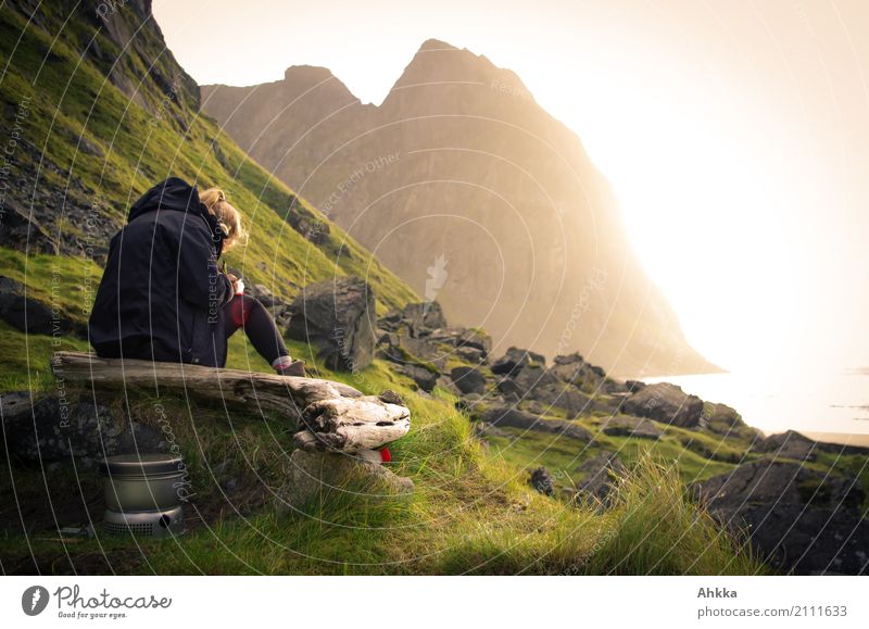 Junge Frau schreibt an der Küste im Sonnenuntergang harmonisch Sinnesorgane Erholung ruhig Meditation Abenteuer Jugendliche Felsen Gipfel Meer Polarmeer Lofoten