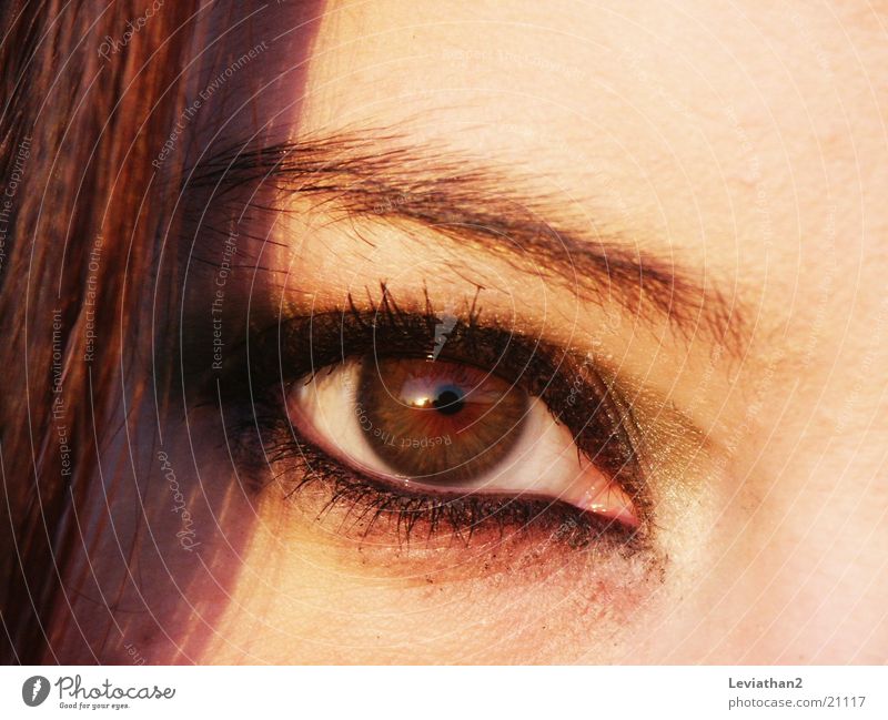 'Der Blick' geschminkt Schminke braun Wimpern Frau Auge Nahaufnahme Farbe l scharf Haare & Frisuren