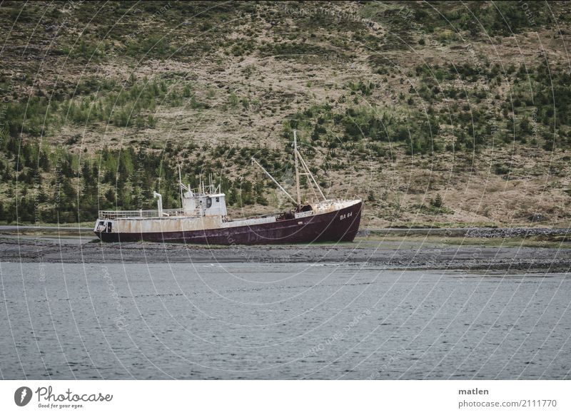 letzte Heuer Natur Landschaft Gras Küste Strand Fjord Meer Schifffahrt Fischerboot alt blau grau grün rot Schiffswrack gestrandet Island Farbfoto