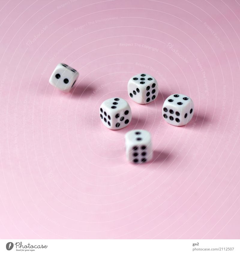 Große Straße? Freizeit & Hobby Spielen Glücksspiel Gesellschaftsspiele Würfel Zeichen Ziffern & Zahlen rosa schwarz weiß Spielsucht Erfolg Freude Konkurrenz