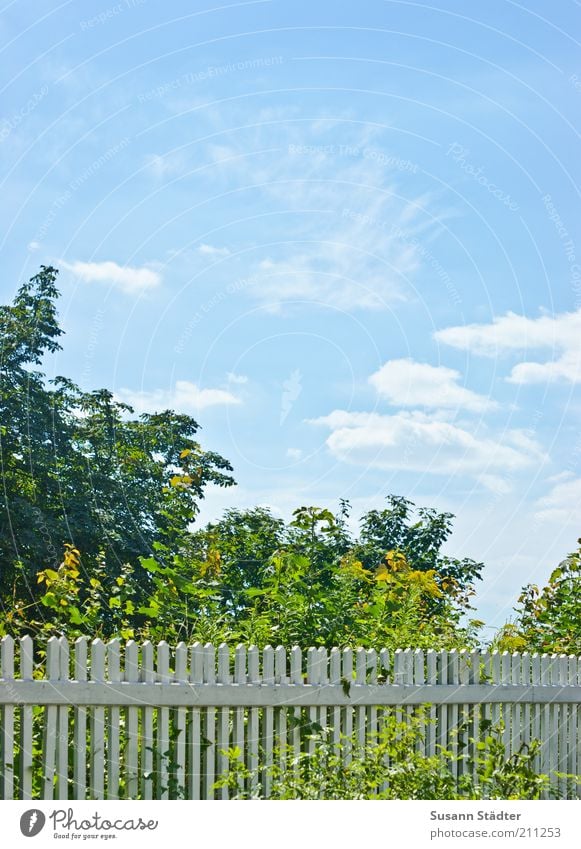 Gartenzaun Wolken Schönes Wetter Baum hell Zaun Begrenzung Sträucher blau babyblau Farbfoto Außenaufnahme Menschenleer Textfreiraum oben Licht Holzzaun