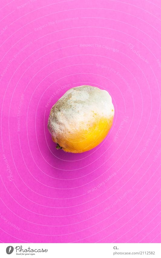 vitamin bäh Lebensmittel Frucht Zitrone Ernährung Bioprodukte ästhetisch außergewöhnlich Ekel sauer gelb rosa verschwenden einzigartig Farbe Idee Inspiration