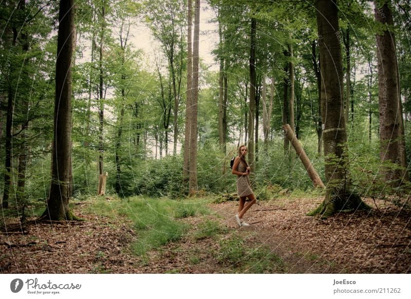 #211262 Lifestyle Freizeit & Hobby Ausflug wandern Frau Erwachsene Leben Natur Baum Gras Sträucher Wald Kleid langhaarig Erholung Blick stehen träumen warten