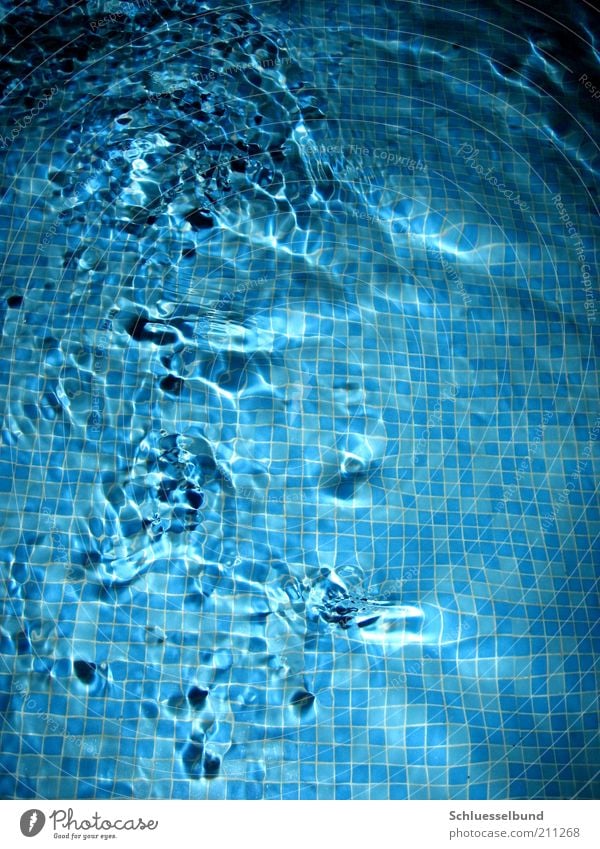 Bewegung des Wassers Sommer Sommerurlaub Wellen Linie Coolness Flüssigkeit frisch hell kalt nass natürlich blau schwarz weiß elegant hell-blau