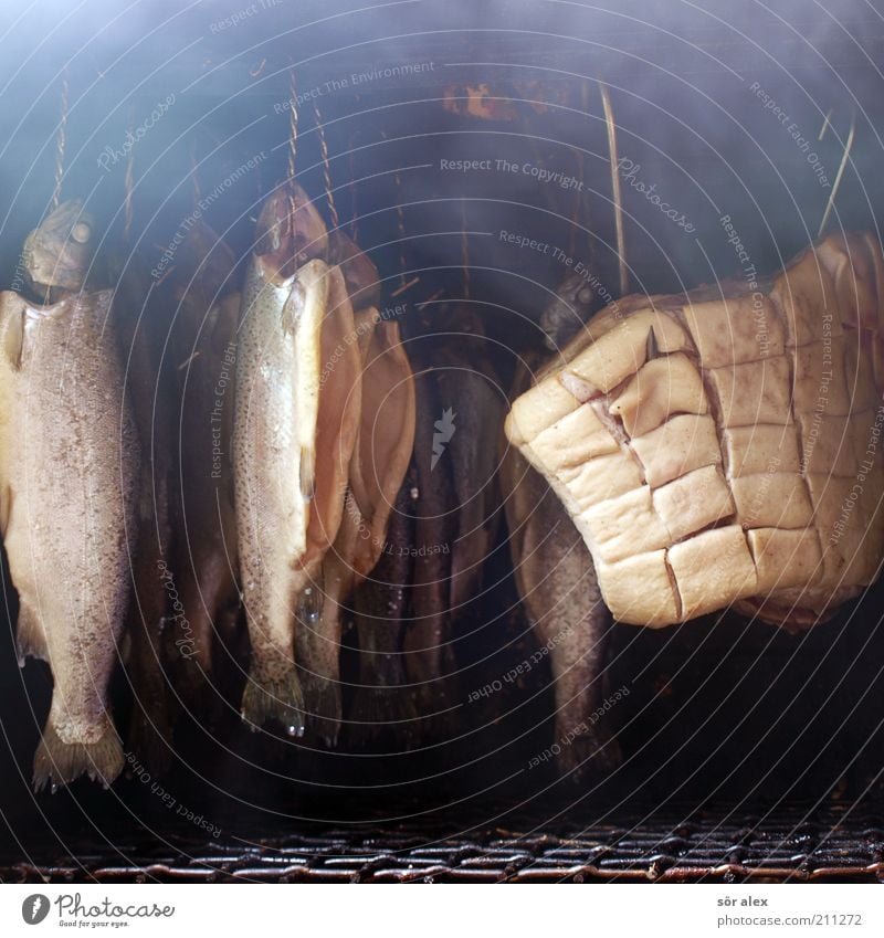 Selbstversorger Lebensmittel Fleisch Fisch Forelle Schweinefleisch Räucherfisch Ernährung Metall hängen lecker saftig Rauch Appetit & Hunger Feinschmecker