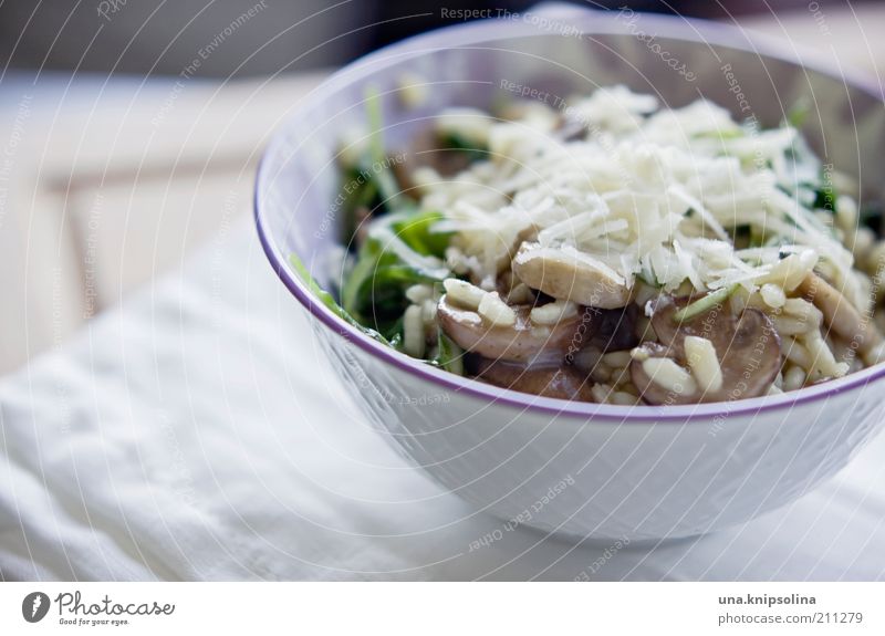 pilzrisotto Lebensmittel Käse Gemüse Getreide Rucola Risotto Reis Pilz Champignons Ernährung Mittagessen Abendessen Bioprodukte Vegetarische Ernährung Geschirr