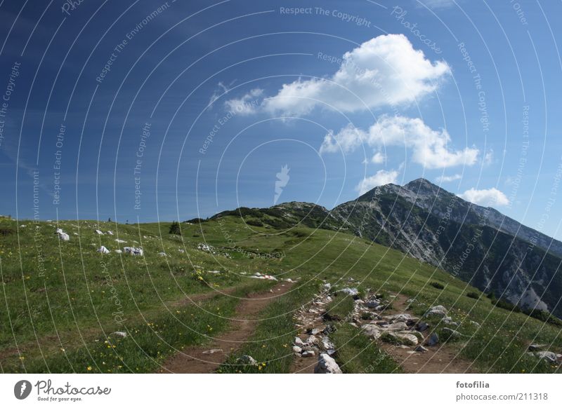 Auf geht`s! Natur Landschaft Pflanze Himmel Wolken Sommer Schönes Wetter Gras Felsen Alpen Berge u. Gebirge Gipfel Bergwiese Gardasee monte baldo Bewegung