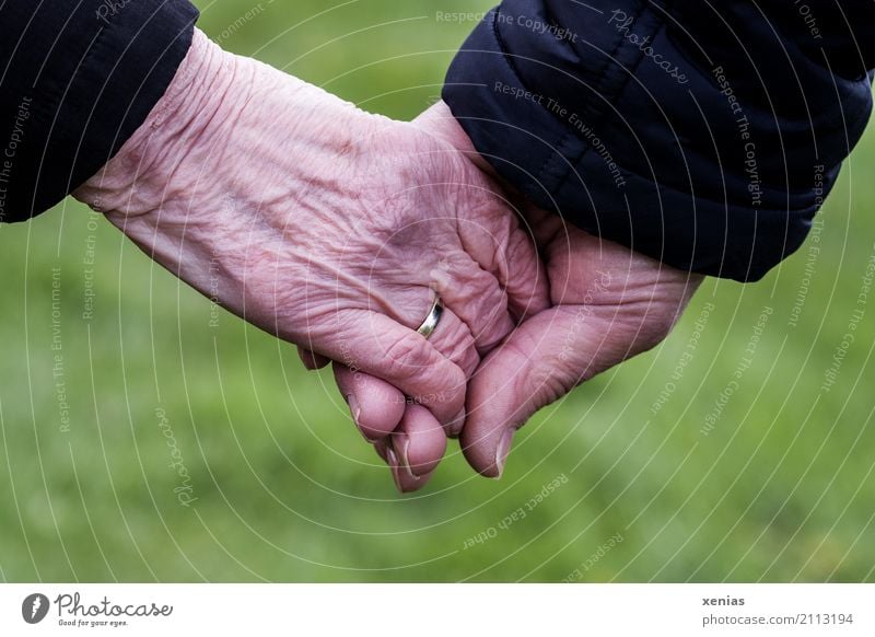 zwei Senioren halten Hände vor grünem Hintergrund Weiblicher Senior Frau Männlicher Senior Mann Großeltern Partner Haut Hand 2 Mensch 60 und älter festhalten