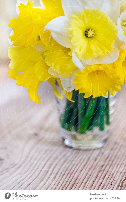 Narcissus Blume Blüte schön Gelbe Narzisse Frühling Frühlingsblume Blumenstrauß Vase Holztisch Blütenpflanze gelb Dekoration & Verzierung Farbfoto Innenaufnahme
