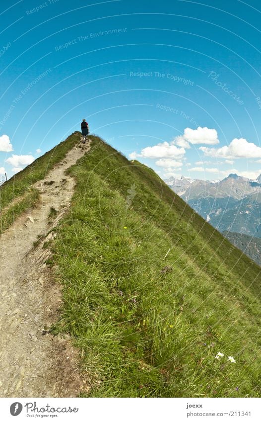 Schmaler Grat Klettern Bergsteigen wandern 1 Mensch Natur Landschaft Himmel Wolken Sommer Schönes Wetter Gras Alpen Berge u. Gebirge Gipfel Wege & Pfade laufen