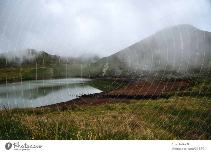 Nebel-See Berge u. Gebirge Hochebene Natur Landschaft Wasser Herbst schlechtes Wetter Hügel Gras ruhig geheimnisvoll bezaubernd Einsamkeit Unbewohnt unheimlich