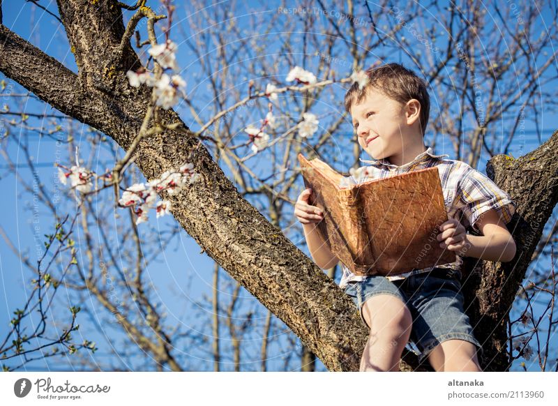 Ein kleiner Junge liest ein Buch auf einer Blüte Baum. Konzept Kinder und Wissenschaft. Lifestyle Freude Glück schön Freizeit & Hobby lesen Sommer Schule lernen
