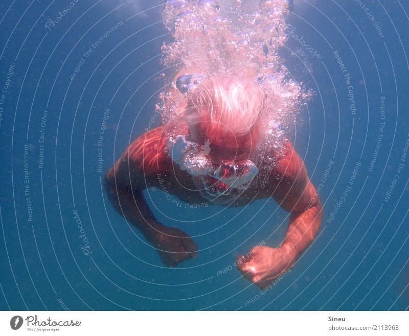 Der Mann aus dem Meer III Ferien & Urlaub & Reisen Sommerurlaub Wassersport tauchen Erwachsene Kopf 1 Mensch Urelemente Schönes Wetter grauhaarig Bewegung