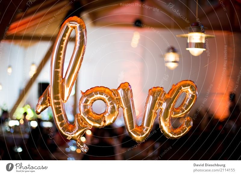 Love Party Veranstaltung Schriftzeichen Glück Frühlingsgefühle Verliebtheit Treue Romantik Partnerschaft Liebe Luftballon gold glänzend Hochzeit
