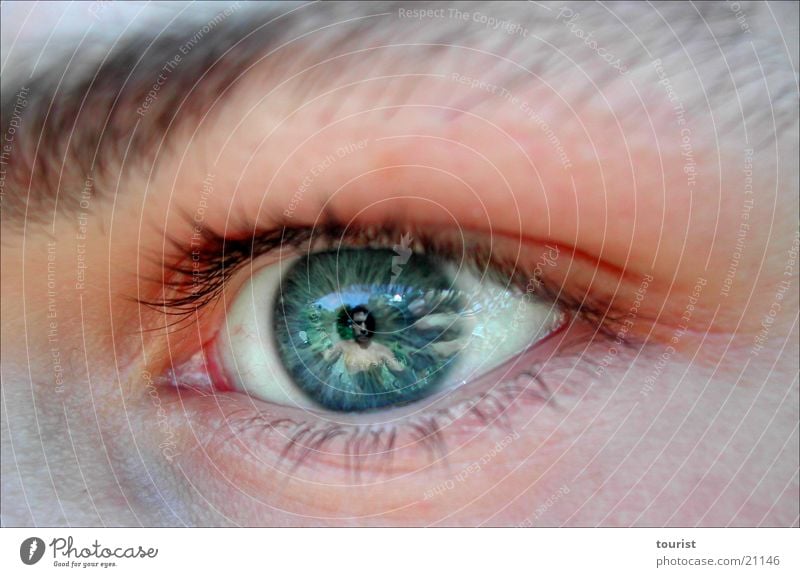 in your eyes Pupille Reflexion & Spiegelung Hand Mensch Auge Objektiv
