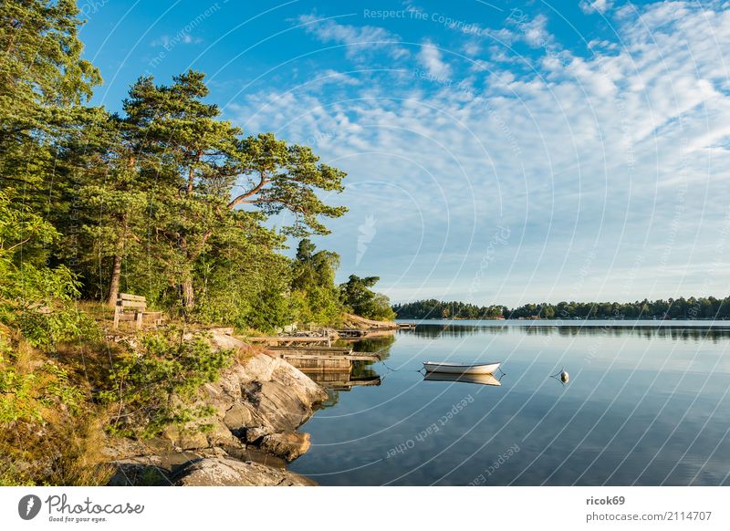 Schärengarten an der schwedischen Küste vor Stockholm Erholung Ferien & Urlaub & Reisen Tourismus Insel Natur Landschaft Wolken Baum Wald Ostsee Wasserfahrzeug