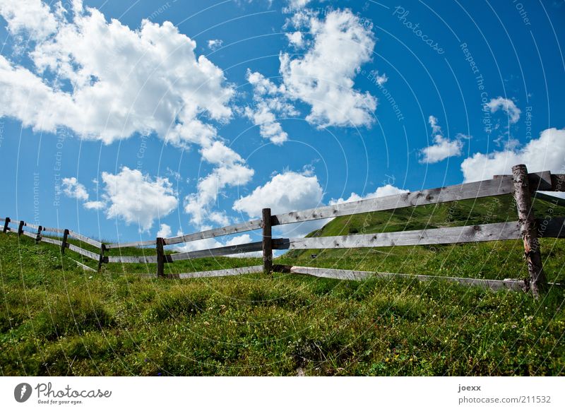 Raumtrenner Natur Landschaft Pflanze Wolken Sommer Schönes Wetter Gras Wiese Hügel Blühend Duft blau grün ruhig Erholung Idylle Zaun Zaunpfahl Weide Bretterzaun