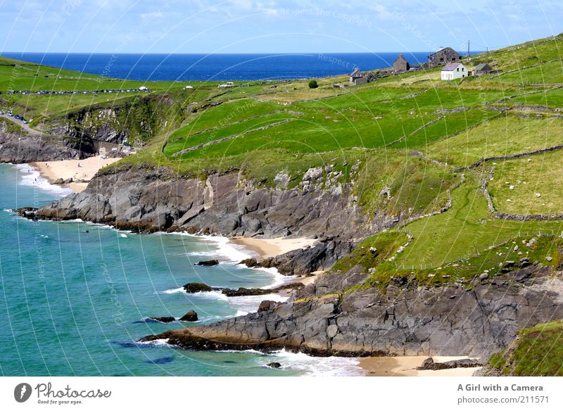 Irland ist so schön ..... Natur Landschaft Horizont Sommer Schönes Wetter Gras Wellen Küste Meer Sehenswürdigkeit außergewöhnlich frisch gigantisch natürlich