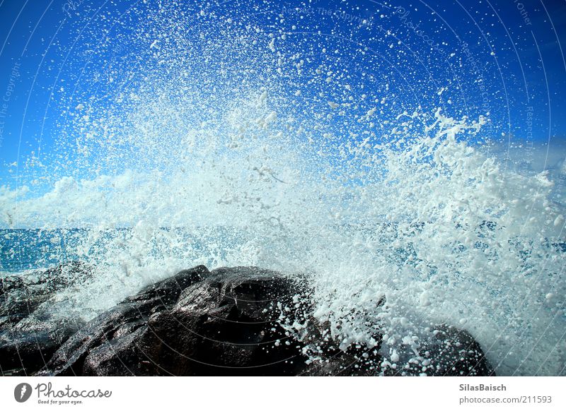 Splash Wasser Wassertropfen Küste Riff Meer Brandung glänzend nass blau Kraft Farbfoto Außenaufnahme Kontrast Wellen Wasserspritzer Menschenleer Felsen