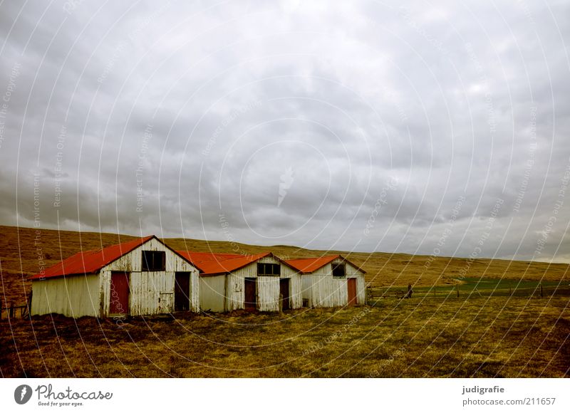 Island Umwelt Natur Landschaft Himmel Wolken Klima Wiese Haus Hütte Gebäude bedrohlich dunkel einzigartig natürlich Stimmung Häusliches Leben Stall Scheune