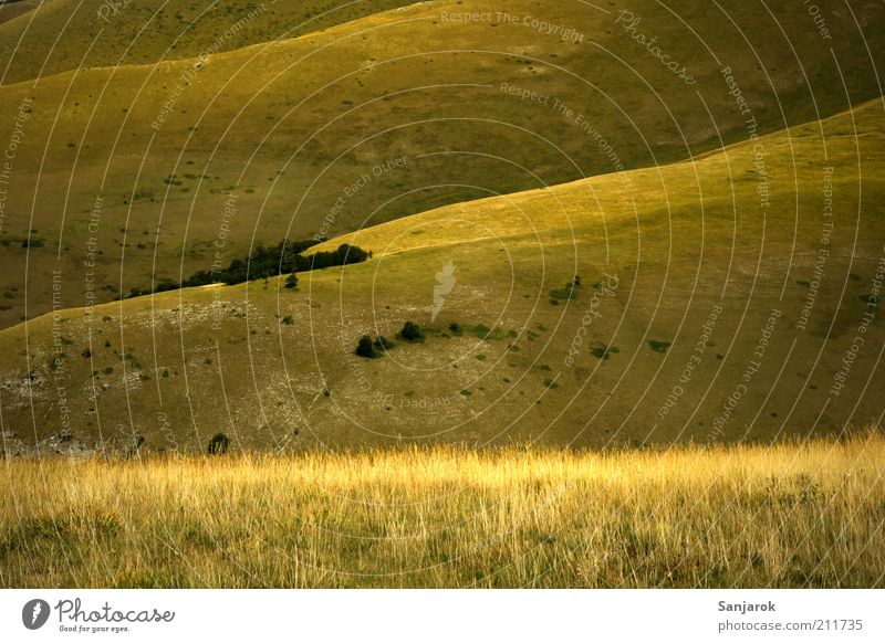 Mongolei harmonisch Wohlgefühl Zufriedenheit ruhig Ferien & Urlaub & Reisen Freiheit Berge u. Gebirge Umwelt Natur Landschaft Sommer Herbst Gras Wiese Hügel