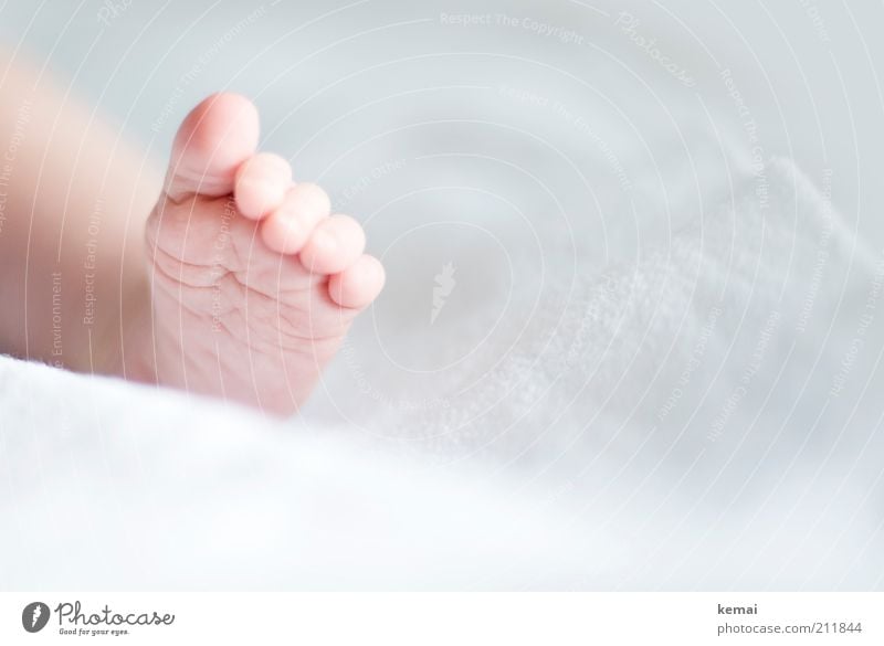 Winzig Kind Baby Kindheit Fuß Zehen 0-12 Monate Decke Wolldecke Hautfalten hell klein niedlich weiß winzig neugeboren links Kinderfuß Barfuß Nackte Haut