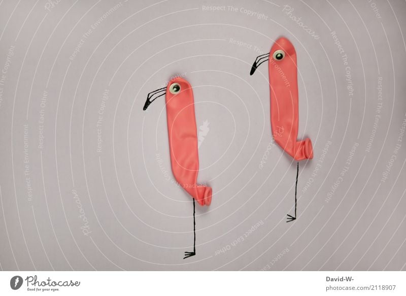 Spaßvögel Kunst Künstler Ausstellung Theaterschauspiel Umwelt Natur Tier Vogel Flamingo Zoo Streichelzoo 2 Tierpaar beobachten Kommunizieren einzigartig Neugier