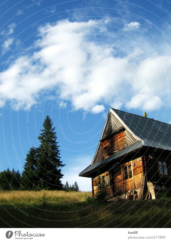Tatra Ferien & Urlaub & Reisen Tourismus Ausflug Berge u. Gebirge Häusliches Leben Haus Natur Landschaft Baum Gras Gebäude Architektur Holz Erholung ruhig Polen