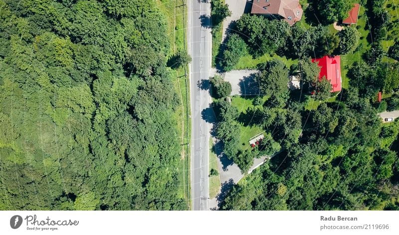 Vogelperspektive der Straße durch Karpaten-Gebirgswald laufend Umwelt Natur Landschaft Erde Sommer Schönes Wetter Baum Gras Wiese Feld Wald Verkehr Verkehrswege
