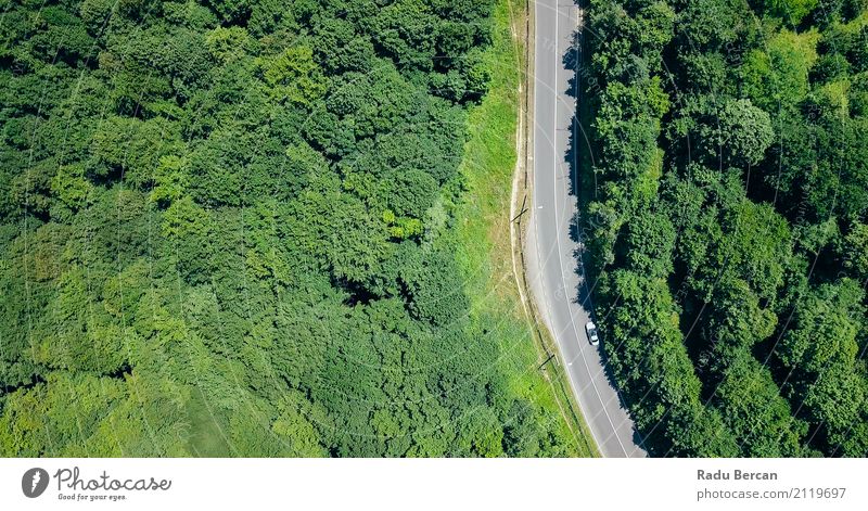Vogelperspektive der Straße durch Karpaten-Gebirgswald laufend Umwelt Natur Landschaft Sommer Schönes Wetter Baum Wald Berge u. Gebirge Verkehr Flugzeugausblick