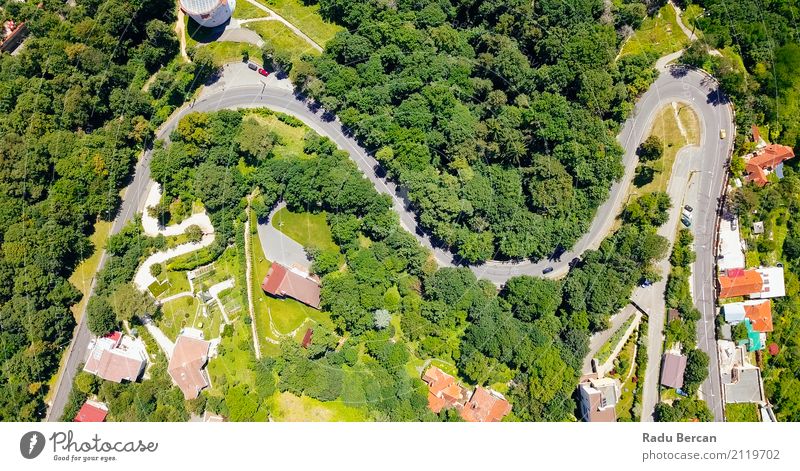 Vogelperspektive der Straße durch Karpaten-Gebirgswald laufend Umwelt Natur Landschaft Erde Sommer Schönes Wetter Baum Wald Berge u. Gebirge Rumänien Kleinstadt