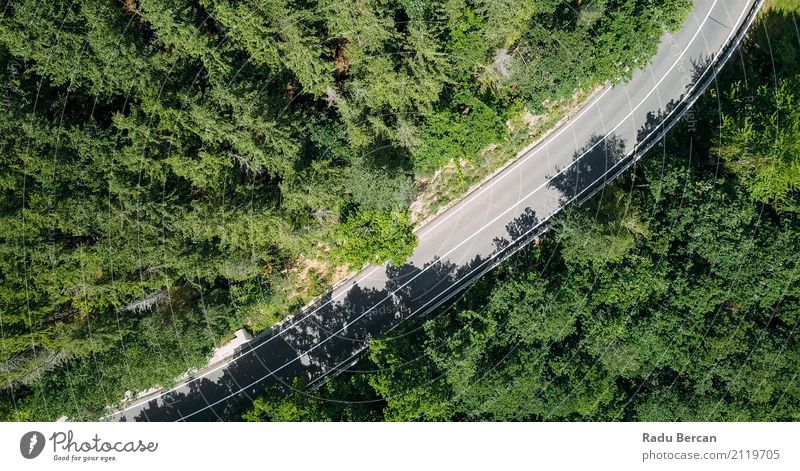Vogelperspektive der Straße durch Karpaten-Gebirgswald laufend Umwelt Natur Landschaft Pflanze Erde Sommer Schönes Wetter Baum Wald Berge u. Gebirge