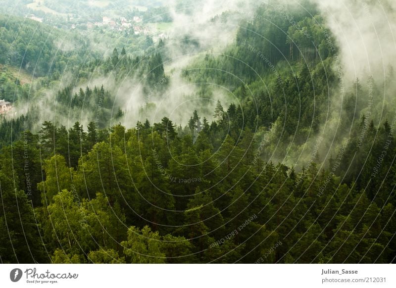 Nebelschwaden Umwelt Natur Landschaft Pflanze Wolken Klima Wetter Regen Wald Urwald Hügel Felsen Berge u. Gebirge dunkel mystisch Riesengebirge Nebelbank grün