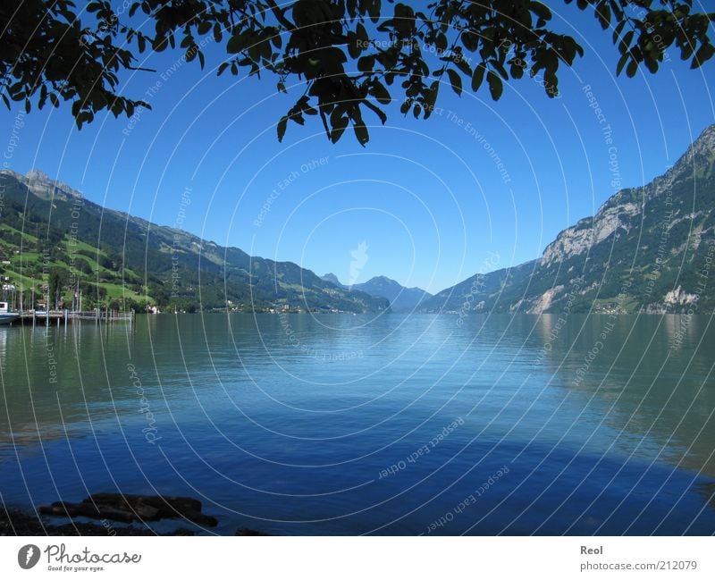 Der Bergsee Natur Landschaft Wasser Wolkenloser Himmel Horizont Sommer Schönes Wetter Alpen Berge u. Gebirge Seeufer Walensee blau Stimmung ruhig Symmetrie