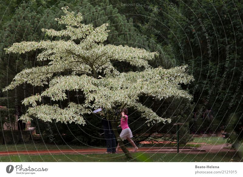 hinterhältig | Golfschläger als Angriffswaffe Freizeit & Hobby Spielen Minigolf Tourismus Sport Baum Park Wald Minigolfschläger kämpfen Erfolg sportlich grün