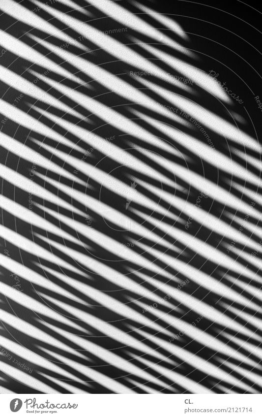 zickzack Menschenleer Mauer Wand Linie ästhetisch eckig komplex Präzision Stress Zickzack Schattenspiel Schwarzweißfoto Außenaufnahme abstrakt Muster