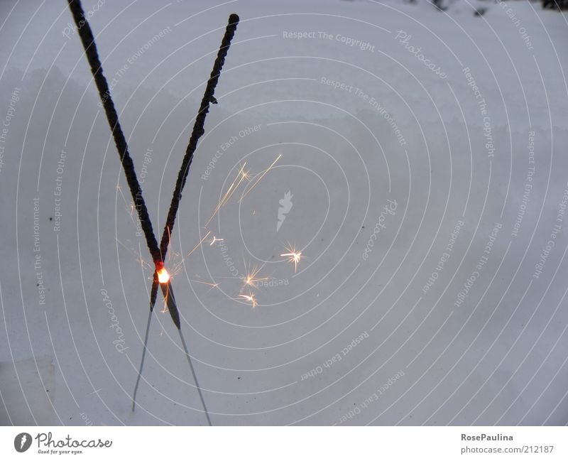 Feuer und Eis Schnee leuchten heiß hell Wärme gelb gold schwarz ästhetisch einzigartig elegant kalt Winter Wunderkerze Funken Farbfoto Außenaufnahme Nahaufnahme